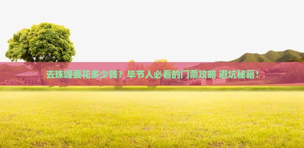 毕节去西藏珠峰大本营门票