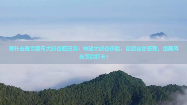 喀什去西藏雅鲁藏布大峡谷四日游