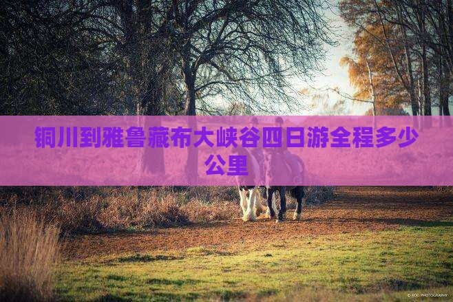 铜川到西藏雅鲁藏布大峡谷四日游