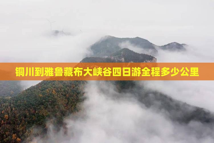 铜川到西藏雅鲁藏布大峡谷四日游