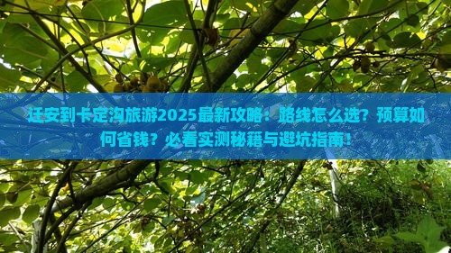 迁安到西藏卡定沟旅游