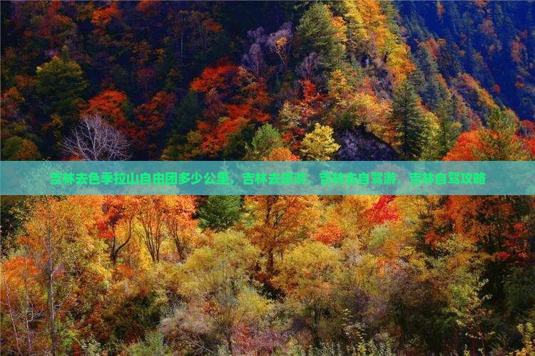 吉林去西藏色季拉山自由团