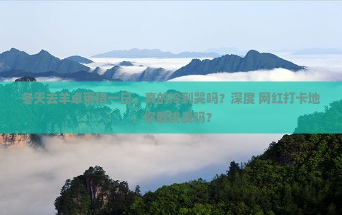 冬天去西藏羊卓雍措一日