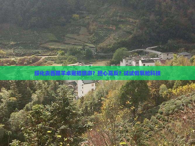 绥化去西藏羊卓雍措旅游