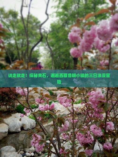 黄石去西藏鲁朗小镇三日游