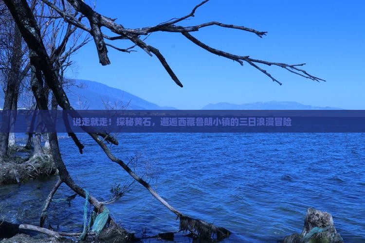 黄石去西藏鲁朗小镇三日游