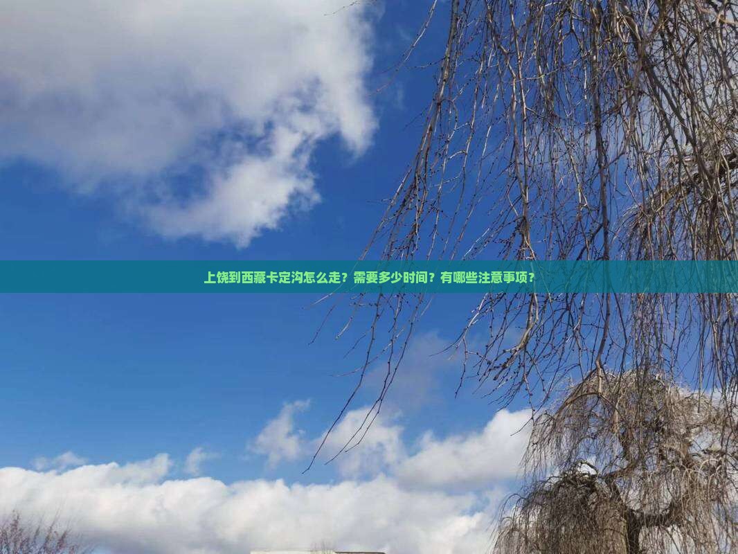 上饶到西藏卡定沟攻略