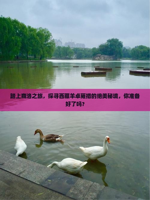商洛去西藏羊卓雍措旅游