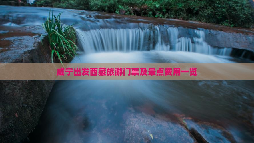 咸宁去西藏门票