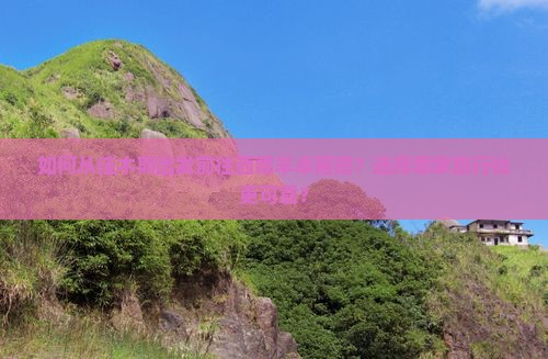 佳木斯去西藏羊卓雍措旅行社 佳木斯去西藏羊卓雍措旅行社
