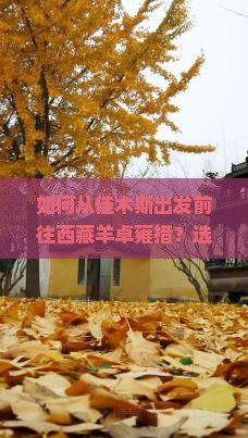 佳木斯去西藏羊卓雍措旅行社 佳木斯去西藏羊卓雍措旅行社