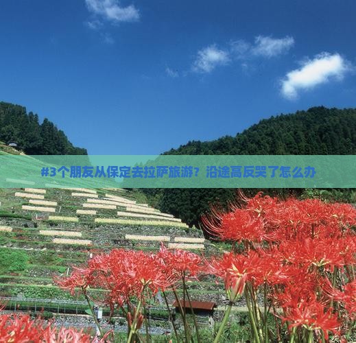 保定到西藏拉萨旅游