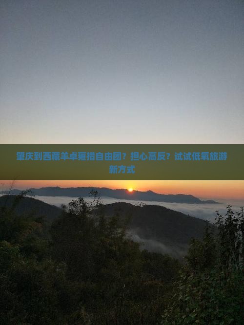 肇庆到西藏羊卓雍措自由团