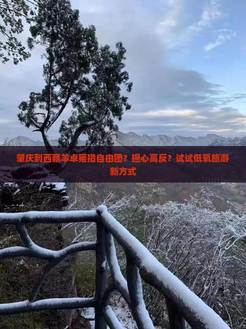 肇庆到西藏羊卓雍措自由团