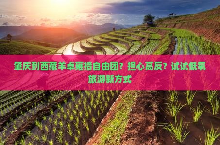 肇庆到西藏羊卓雍措自由团