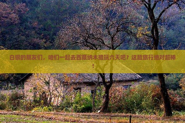 白银去西藏纳木措六日游
