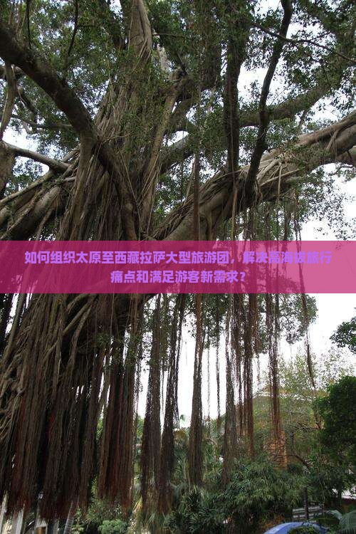 太原去西藏拉萨大型旅游团