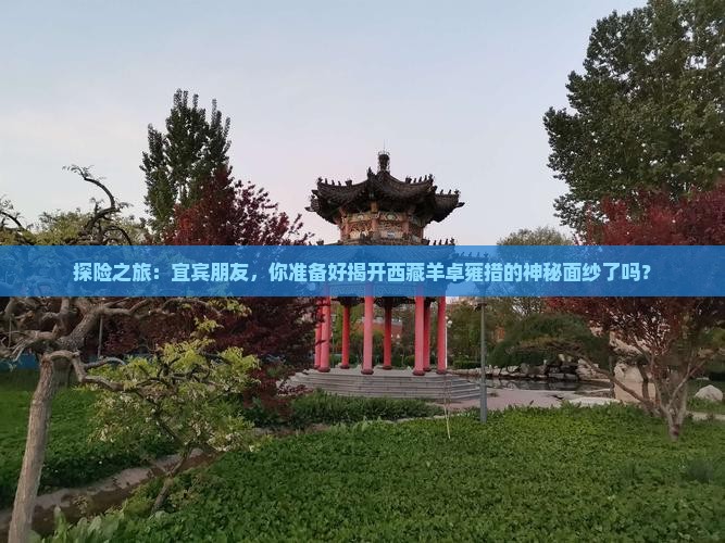 宜宾去西藏羊卓雍措旅行社