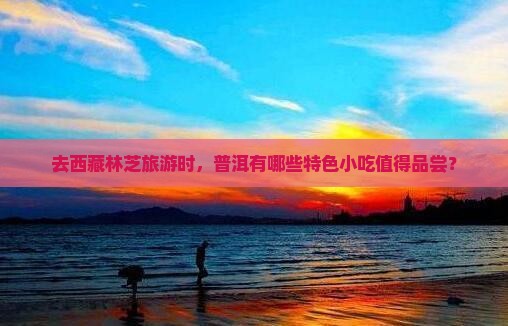普洱去西藏林芝旅游小吃