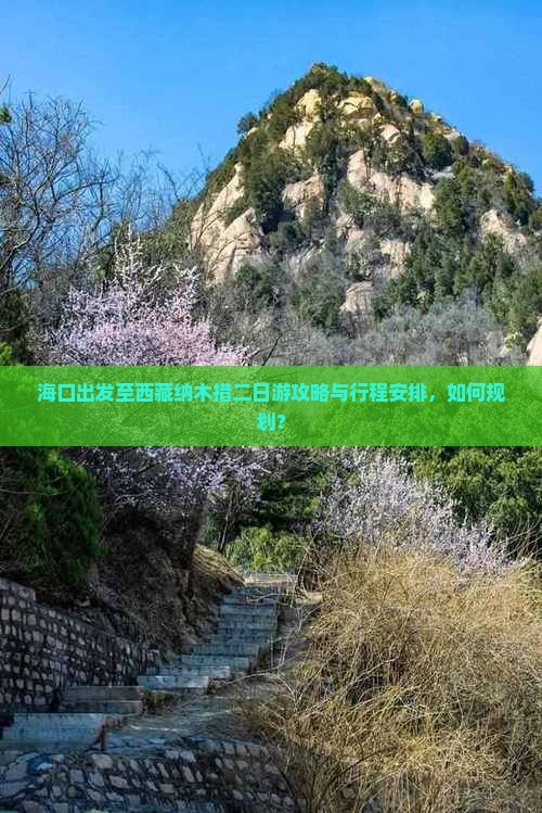 海口去西藏纳木措二日游