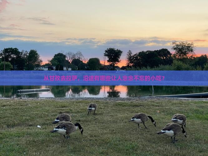 甘孜到西藏拉萨旅游小吃 甘孜到西藏拉萨旅游小吃