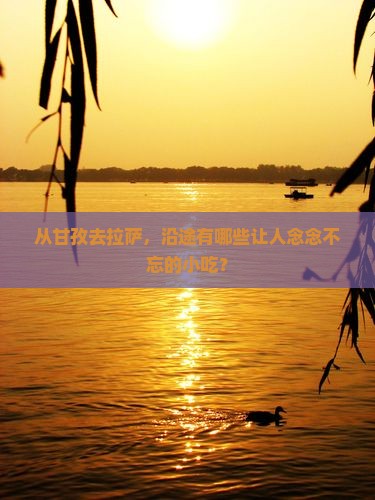 甘孜到西藏拉萨旅游小吃 甘孜到西藏拉萨旅游小吃