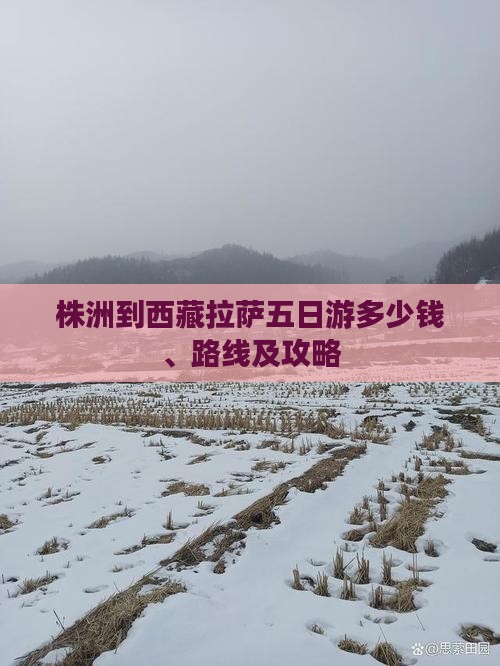 株洲到西藏拉萨五日游
