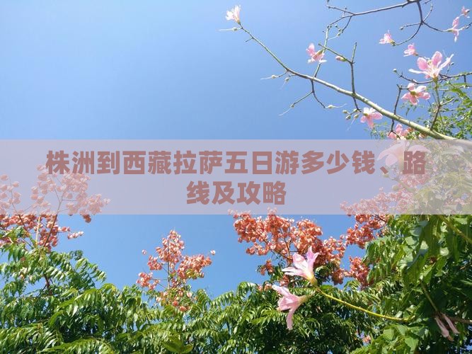株洲到西藏拉萨五日游
