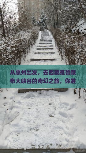 惠州去西藏雅鲁藏布大峡谷大型旅游团