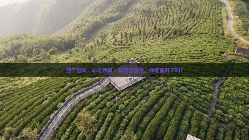西宁到西藏林芝自由团