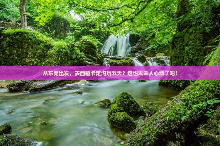 东莞去西藏卡定沟五日游