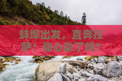 蚌埠去西藏拉萨旅行社