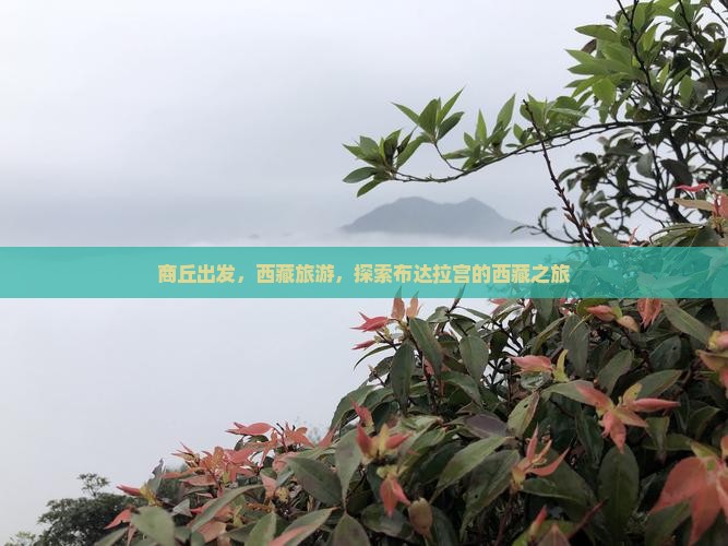 商丘去西藏布达拉宫团体旅游