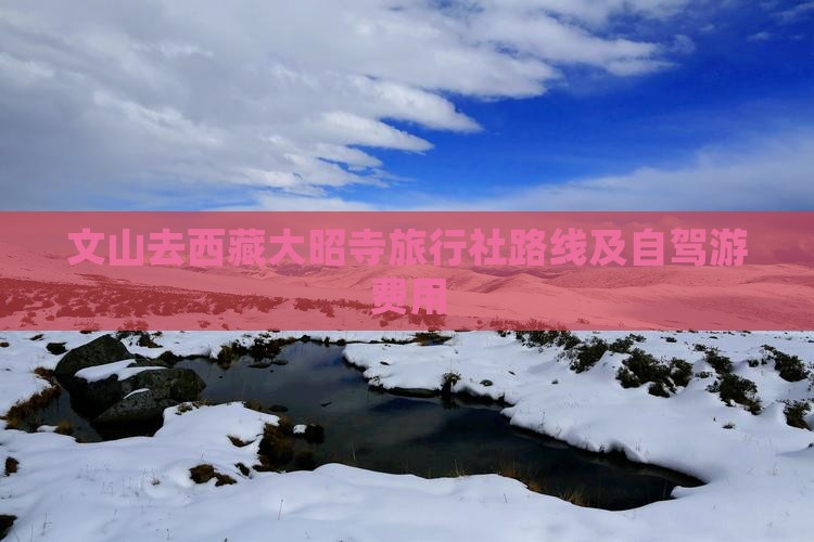 文山去西藏大昭寺旅行社
