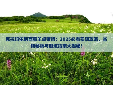 克拉玛依到西藏羊卓雍措景点