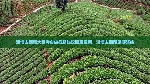 淄博去西藏大昭寺自由行