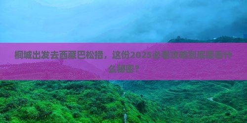 桐城去西藏巴松措旅行社