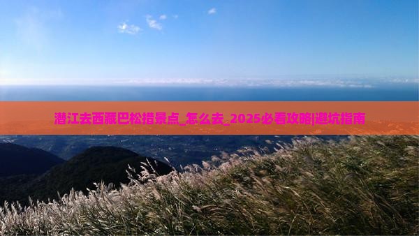 潜江去西藏巴松措景点