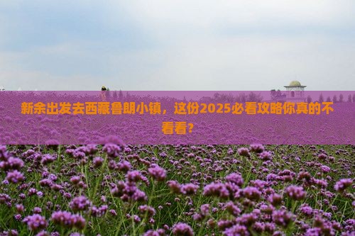 新余到西藏鲁朗小镇个人游