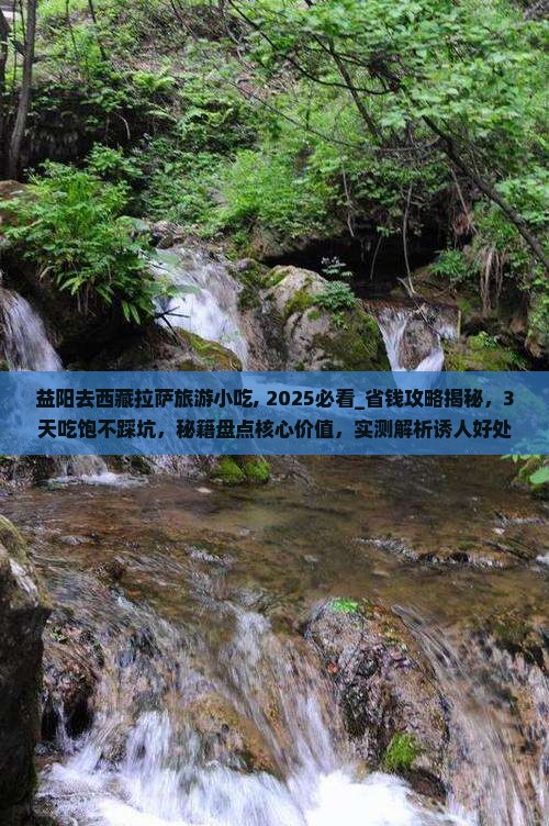 益阳去西藏拉萨旅游小吃