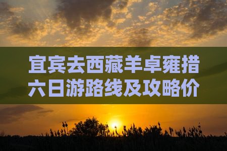 宜宾去西藏羊卓雍措六日游