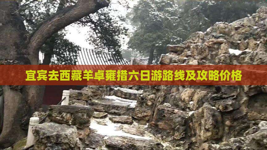 宜宾去西藏羊卓雍措六日游