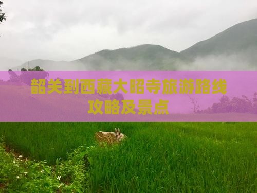 韶关到西藏大昭寺景点