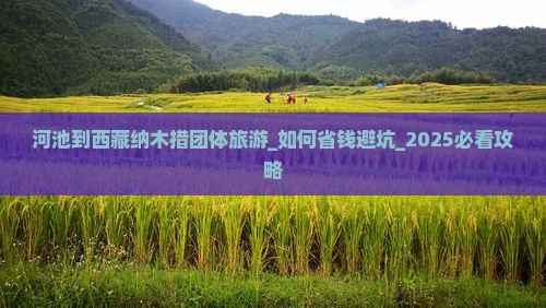 河池到西藏纳木措团体旅游