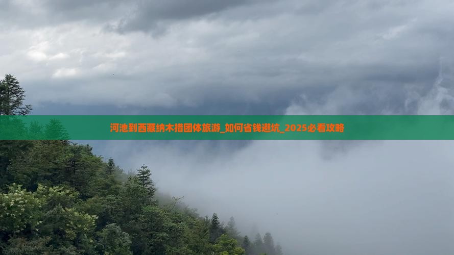 河池到西藏纳木措团体旅游