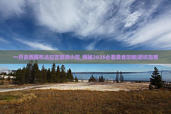 一月去西藏布达拉宫旅游小吃