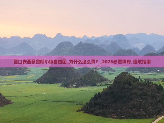 营口去西藏鲁朗小镇自由团