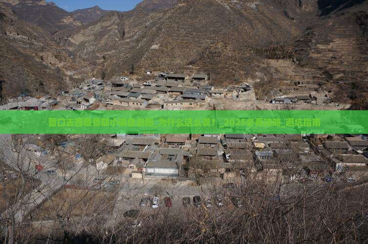 营口去西藏鲁朗小镇自由团