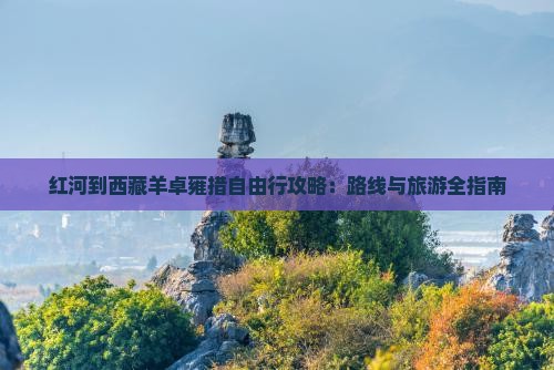 红河到西藏羊卓雍措自由行