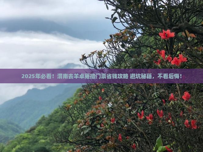 渭南去西藏羊卓雍措门票